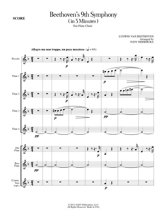 Beethoven, L :: Beethoven's 9th Symphony in 5 minutes