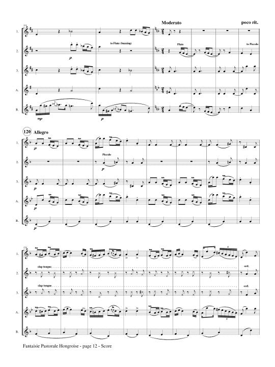 Doppler, F :: Fantaisie Pastorale Hongroise