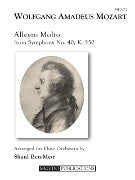 Mozart, WA :: Allegro Molto from Symphony No. 40, K. 550