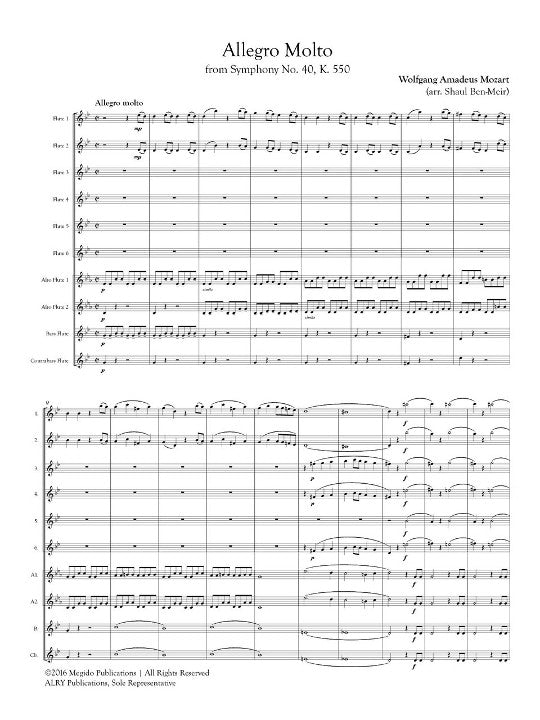 Mozart, WA :: Allegro Molto from Symphony No. 40, K. 550
