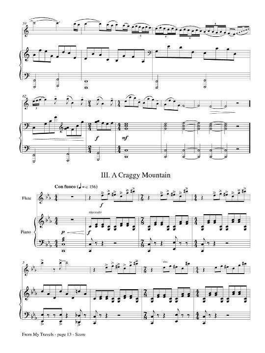 Davison, P :: From My Travels: Concerto for Flute