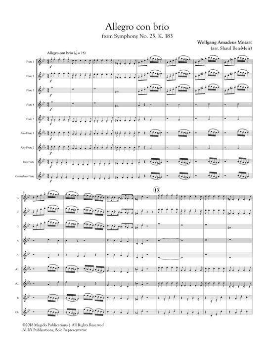Mozart, WA :: Allegro con brio from Symphony No. 25, K. 183