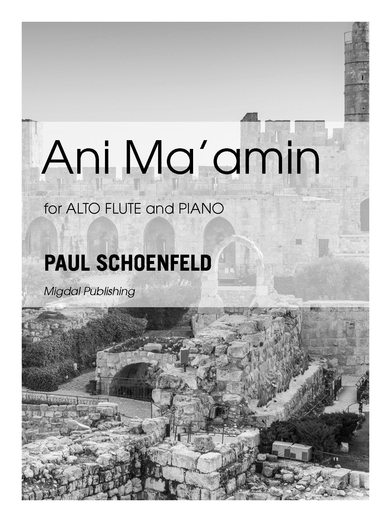 Schoenfeld, P :: Ani Ma'amin