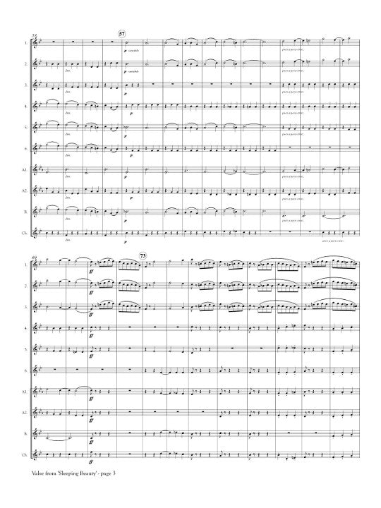 Tchaikovsky, P :: Valse from 'Sleeping Beauty'