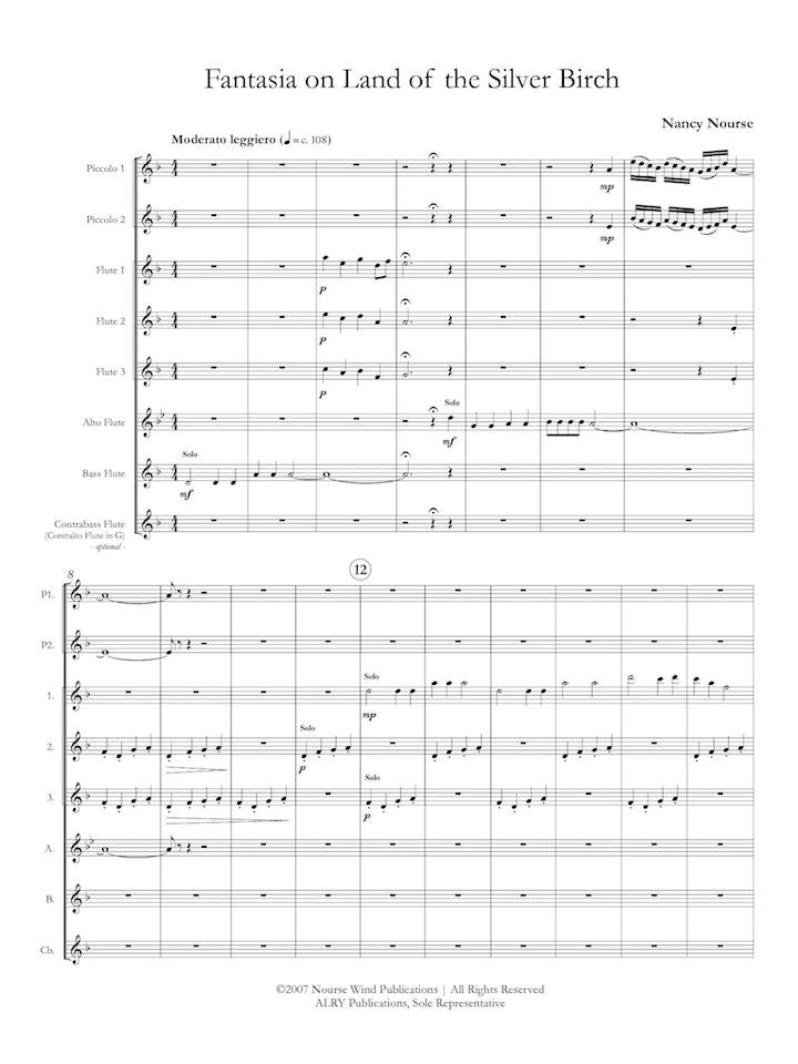 Nourse, N :: Fantasia on Land of the Silver Birch