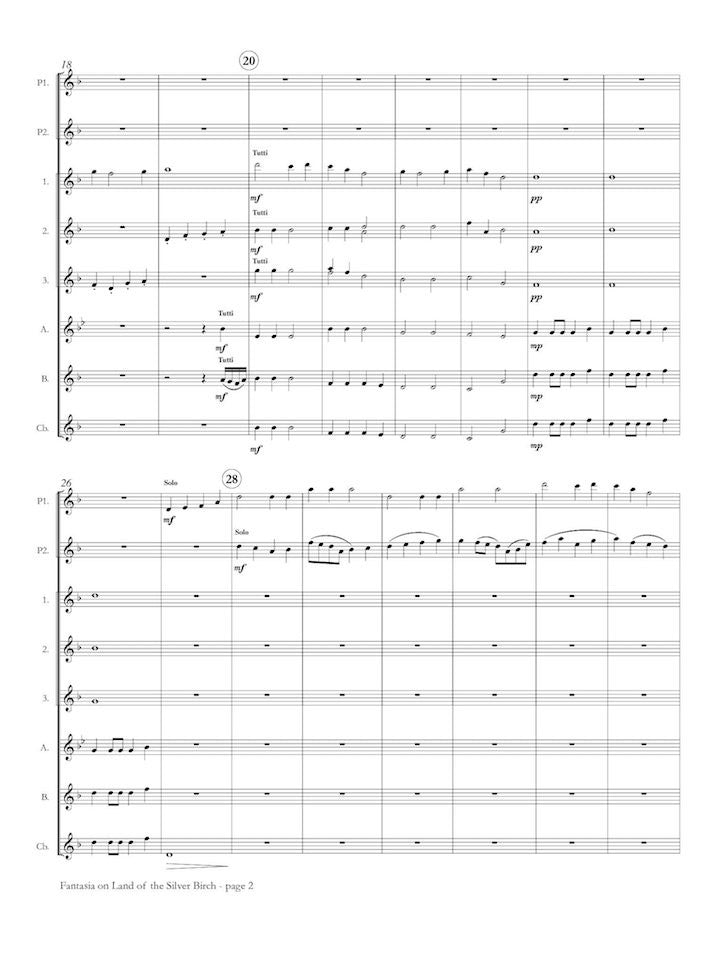 Nourse, N :: Fantasia on Land of the Silver Birch
