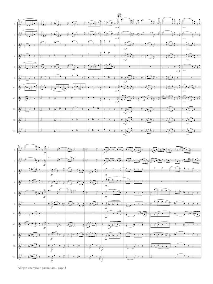 Brahms, J :: Allegro energico e passionato from Symphony No. 4