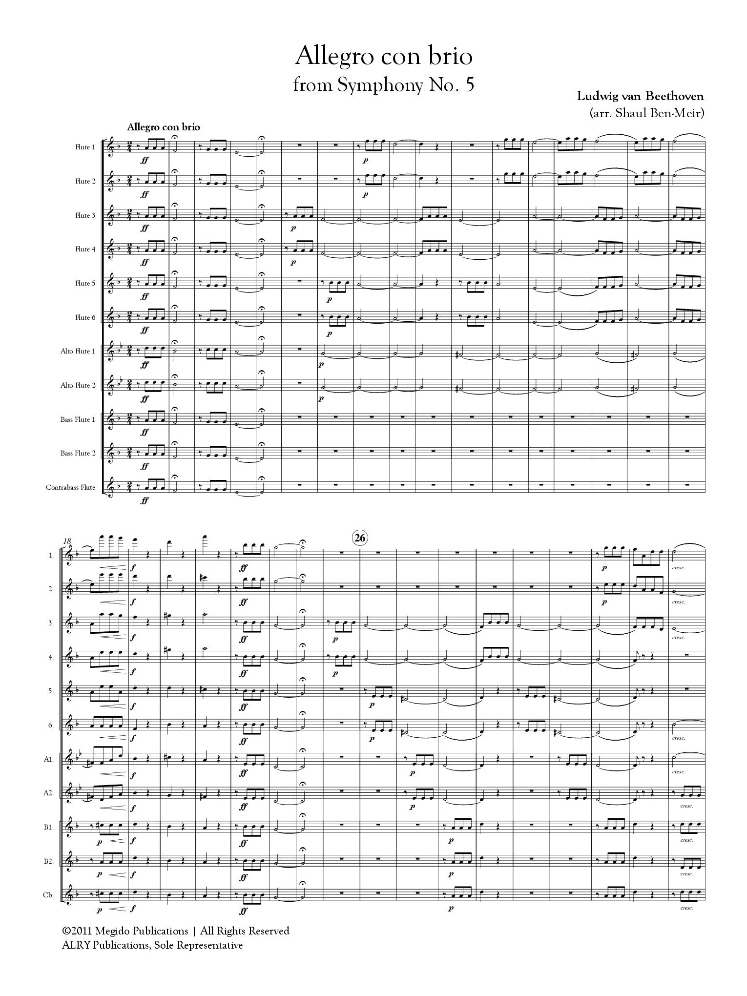Beethoven, L :: Allegro con brio from Symphony No. 5