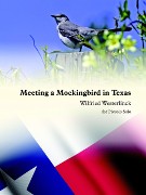 Westerlinck, W :: Meeting a Mockingbird in Texas