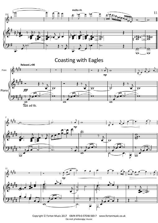 Saunders, P :: Flights with my Flute