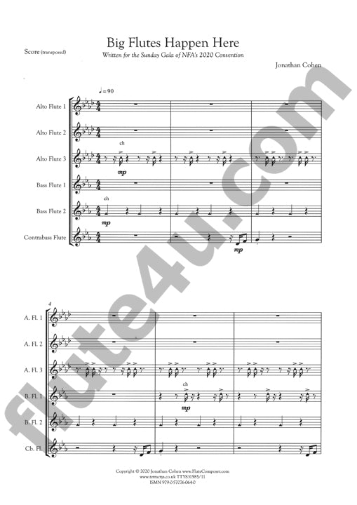 Cohen, J :: Big Flutes Happen Here