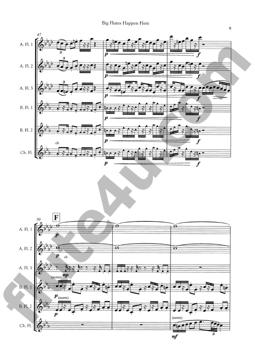 Cohen, J :: Big Flutes Happen Here