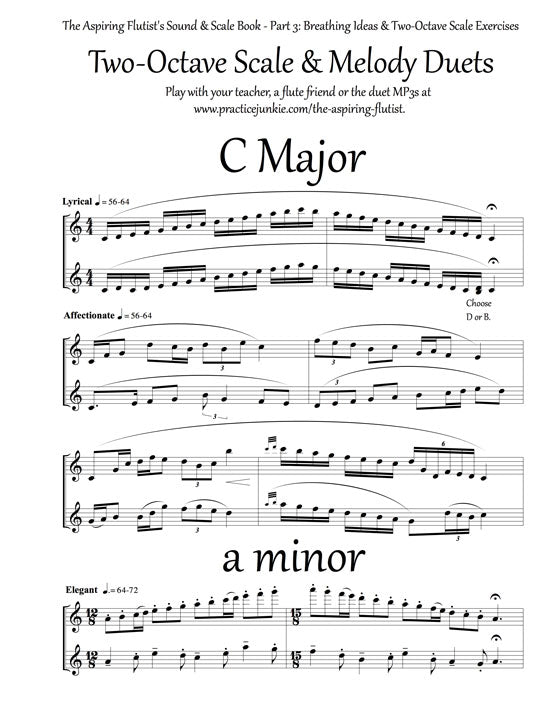 Sanchez, T :: The Aspiring Flutist's Sound & Scale Book