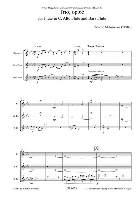 Matosinhos, R :: Trio, op.65