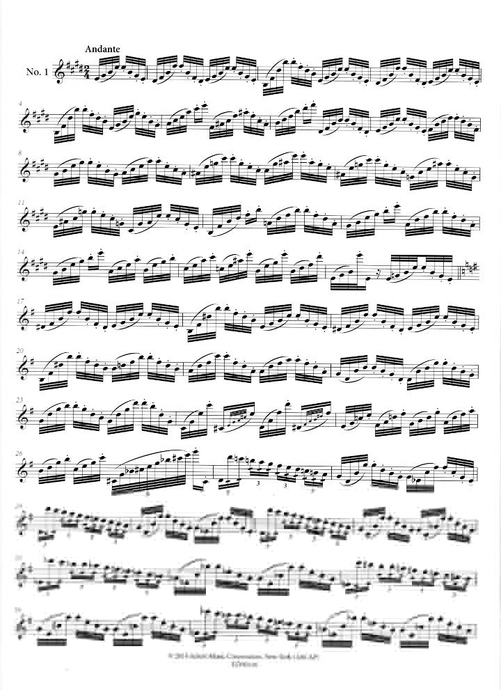 Paganini, N :: 24 Caprices for Flute