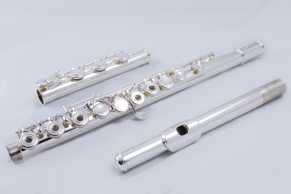 Di Zhao Flute: DZ-501