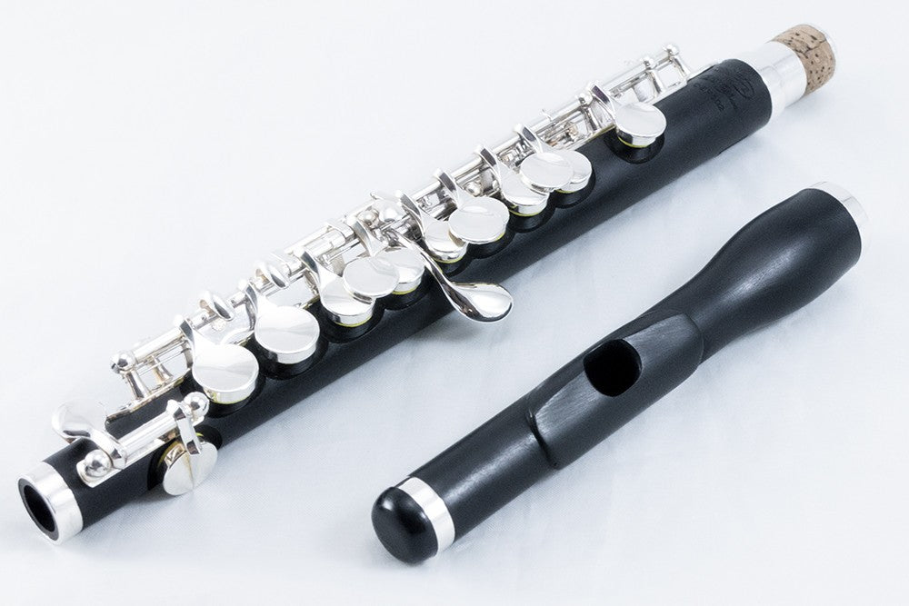 Di Zhao Piccolo DZP-102 Composite