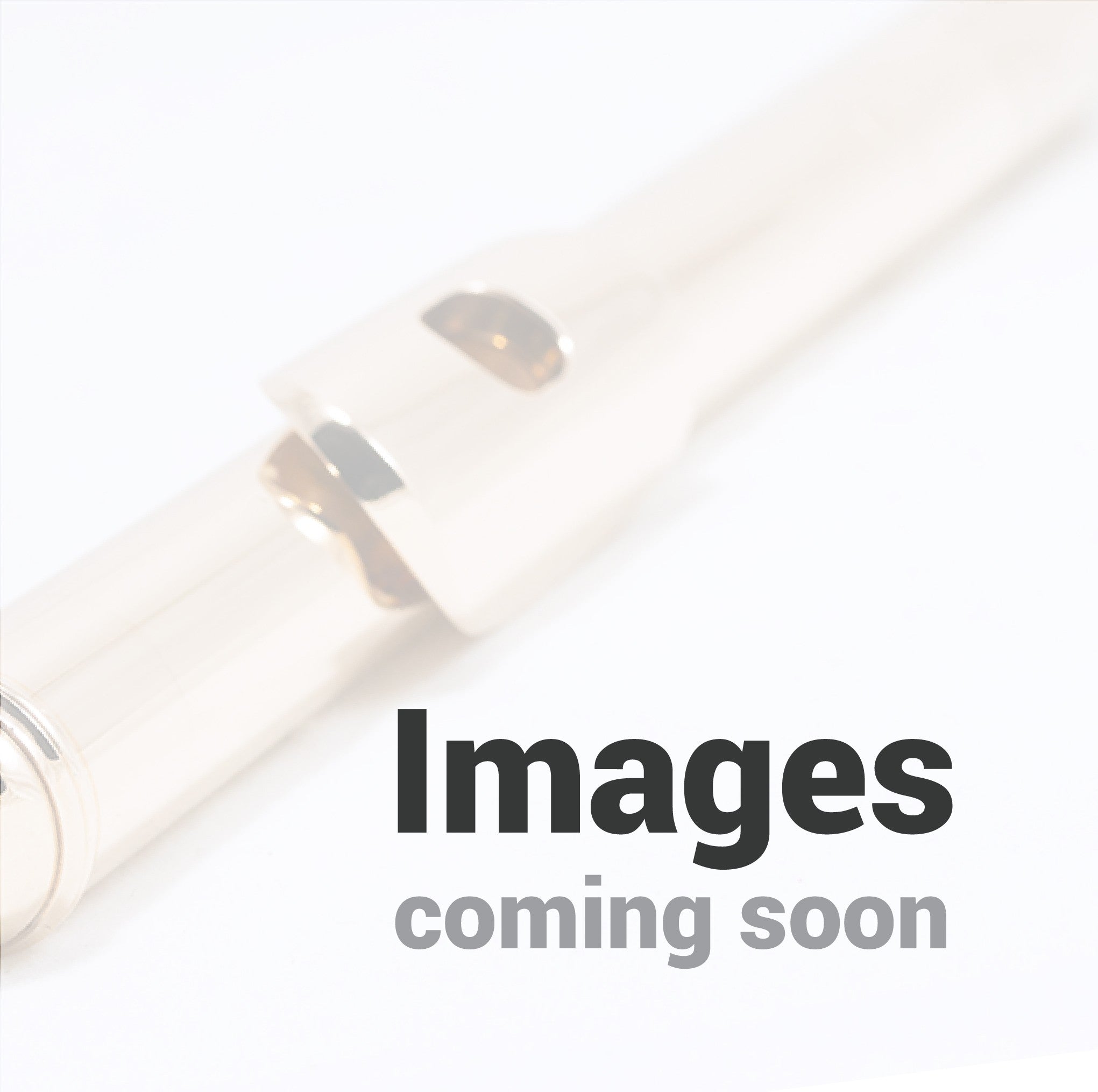 [USED FLUTE TEMPLATE] Brand - Type of flute - Major Spec