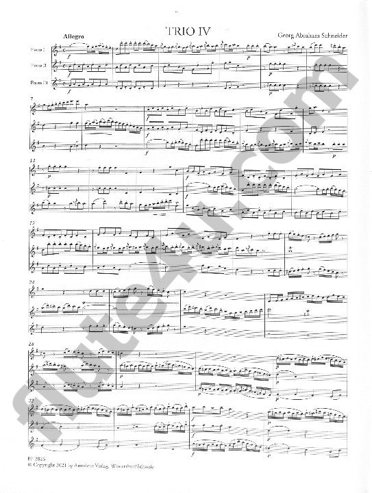 Schneider, GA :: 6 Trios concertante fur 3 Floten Nr. 4-6 [6 Concert Trios for 3 Flutes Nr. 4-6]