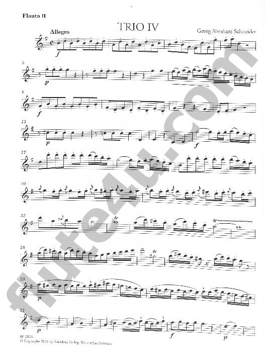 Schneider, GA :: 6 Trios concertante fur 3 Floten Nr. 4-6 [6 Concert Trios for 3 Flutes Nr. 4-6]