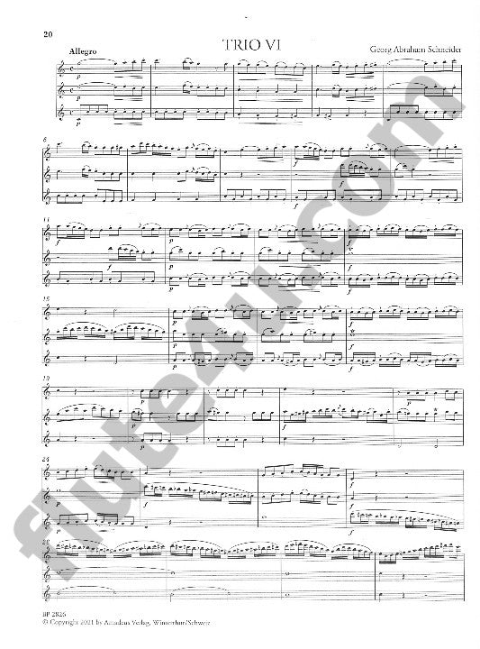 Schneider, GA :: 6 Trios concertante fur 3 Floten Nr. 4-6 [6 Concert Trios for 3 Flutes Nr. 4-6]