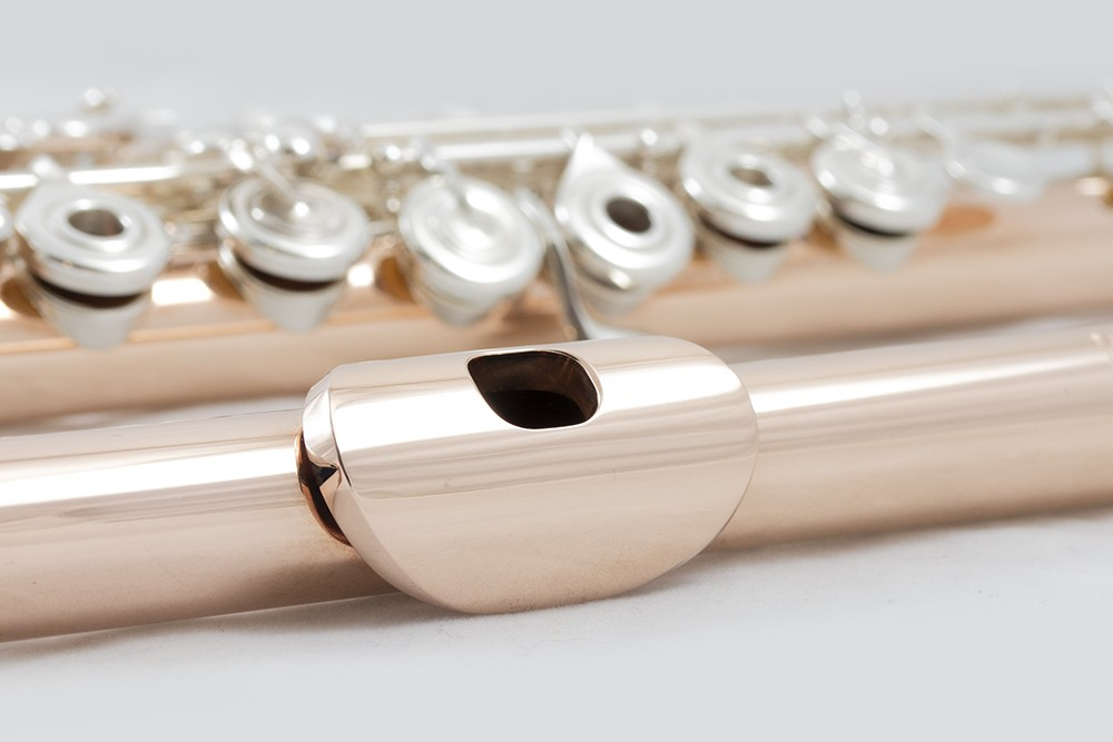 Haynes Flute 10K Gold - Silver Mechanism