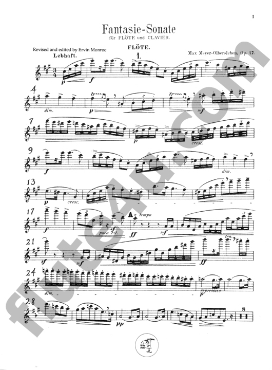 Meyer-Olbersleben, M :: Fantasie-Sonate op. 17 [Fantasy Sonata op. 17]
