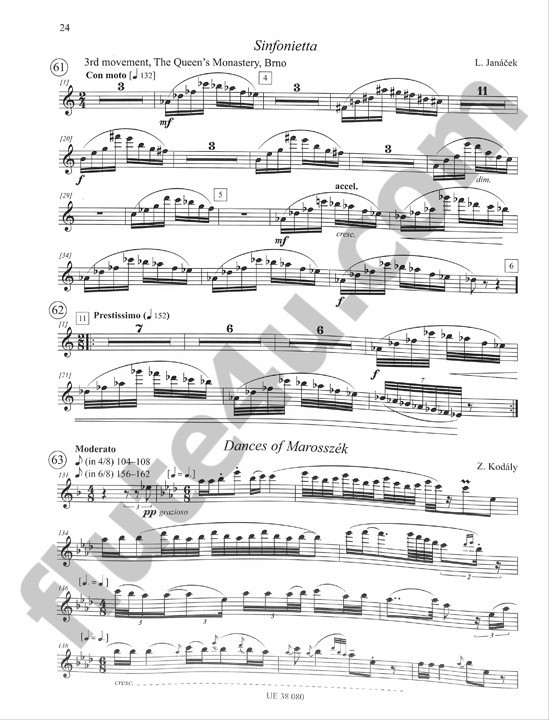 Various :: The Piccolo and Alto Flute Audition