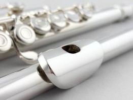 Bertrem Flute - Eb#2