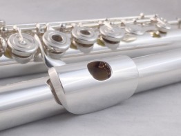 Altus Flute 1807AL