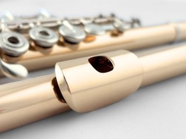 Altus Flute Professional Gold Series - Priced on Request