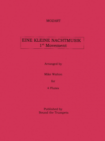 Mozart, WA :: Eine Kleine Nachtmusik: 1st Movement