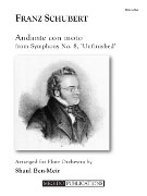Schubert, F :: Andante con moto from Symphony No. 8, 'Unfinished'