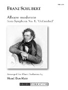 Schubert, F :: Allegro moderato from Symphony No. 8, 'Unfinished'