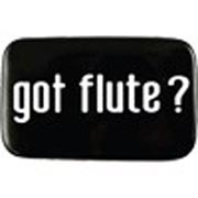 Magnet - Got Flute