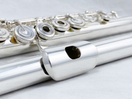 Flute - Amadeus AF900 #620 (Pre-Owned)