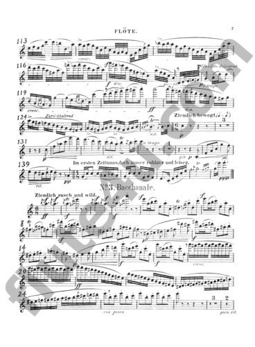 Meyer-Olbersleben, M :: Fantasie-Sonate op. 17 [Fantasy Sonata op. 17]