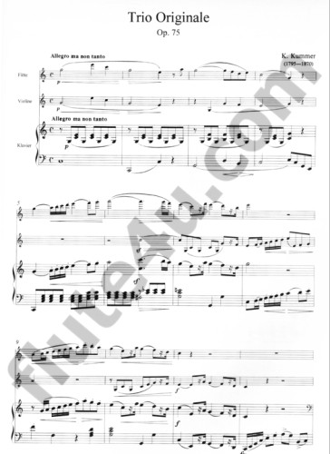 Kummer, K :: Trio Originale op. 75 [Original Trio op. 75]