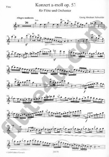 Schneider, GA :: Konzert A-Moll, Op. 53 [Concerto in A Minor, op. 53]