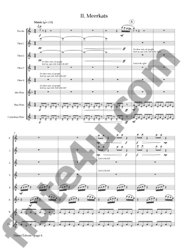 Cohen, J :: Desert Echoes