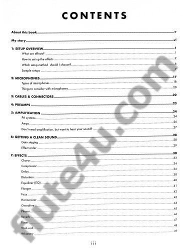 The Electric Flute: A Beginner's Guide to Playing Flute with Effects