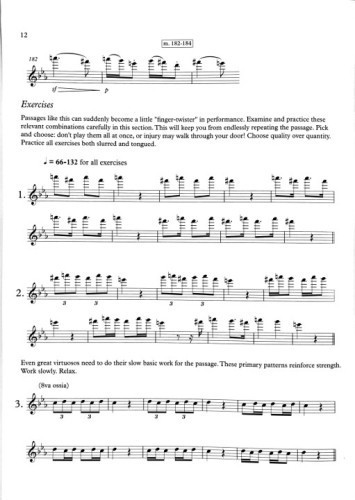 Orchestral Excerpt Practice Book - Page 12
