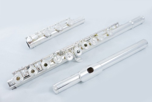 Altus Flute 807