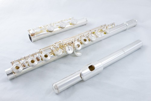 Altus Flute 907