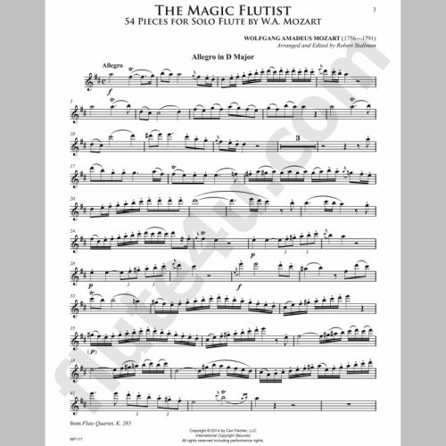 Mozart Magic Flutist