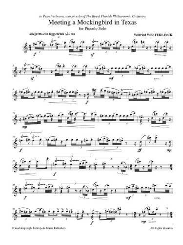 Meeting a Mockingbird in Texas