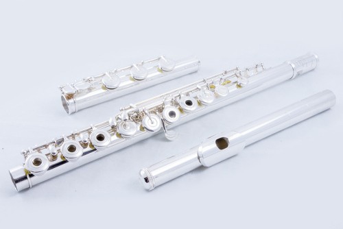 Muramatsu Flute DS