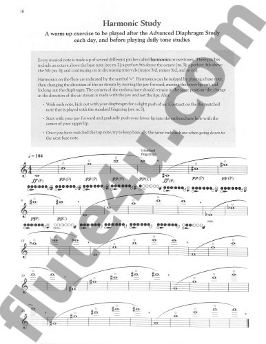 Cavally, R :: Tone Studies - Developmental and Progressive Studies Book 2