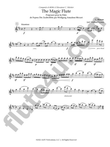 Berens, C :: The Magic Flute