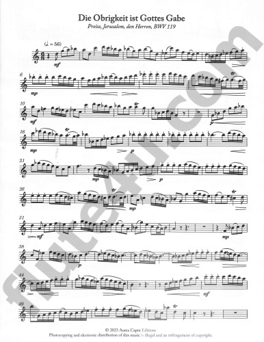 Bach, JS :: J.S. Bach Flute Obbligatos, Vol. 2